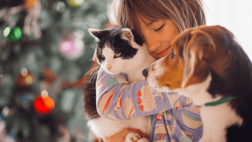 Por que não pode dar leite aos gatos?