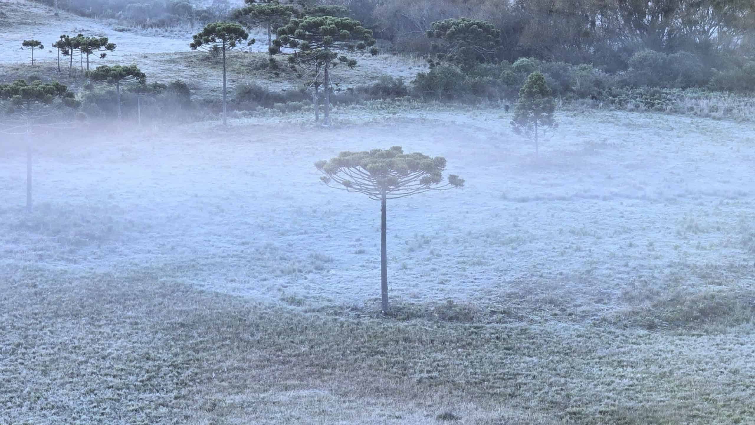 Mais uma onda de frio está chegando – veja os locais atingidos