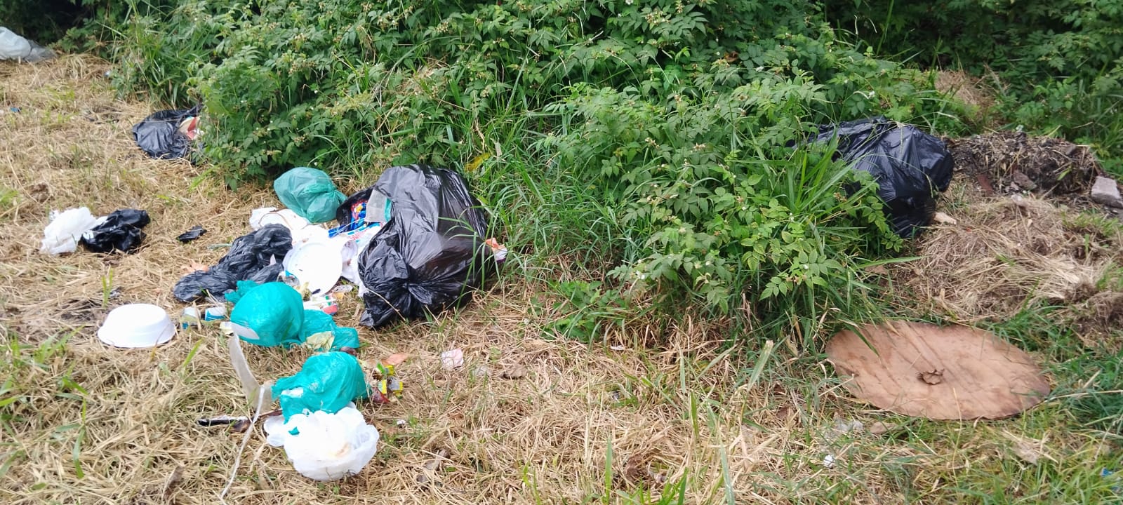 Meio Ambiente em Piraquara-PR: Um Alerta sobre as Consequências do Descaso Humano