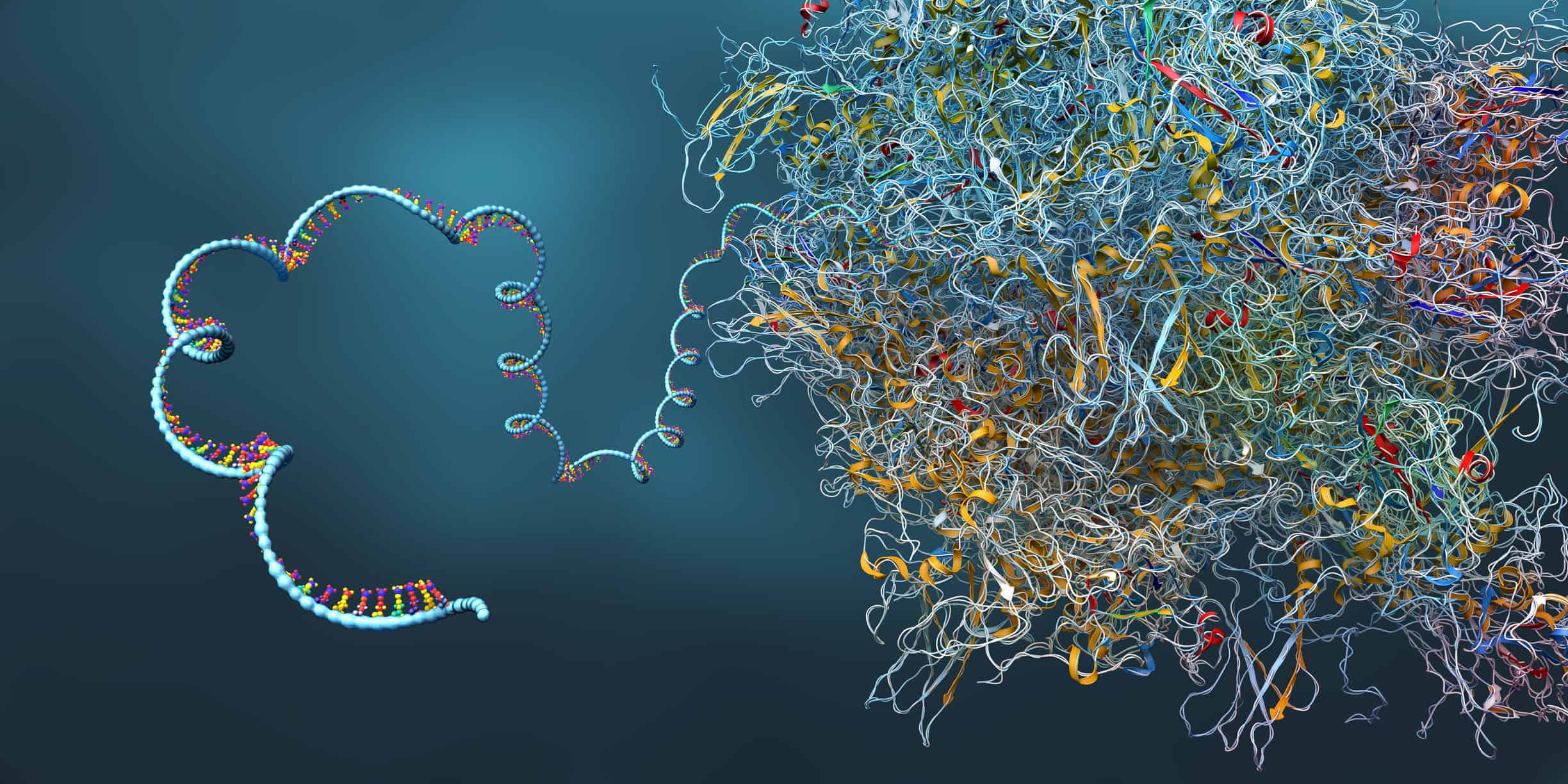 “Cola” de DNA pode prevenir e tratar doenças do envelhecimento