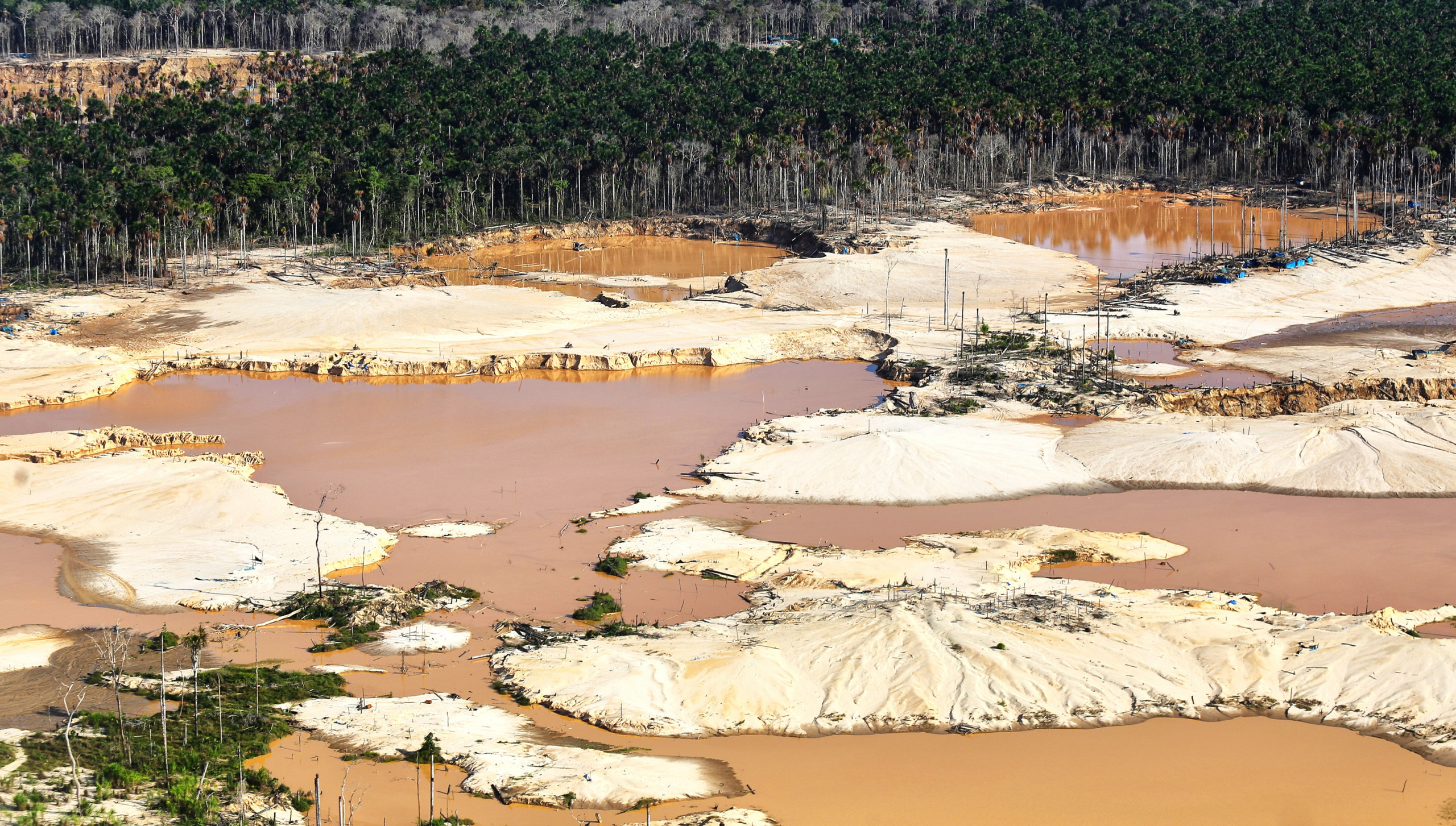 Florestas não se recuperam após mineração de ouro na Amazônia